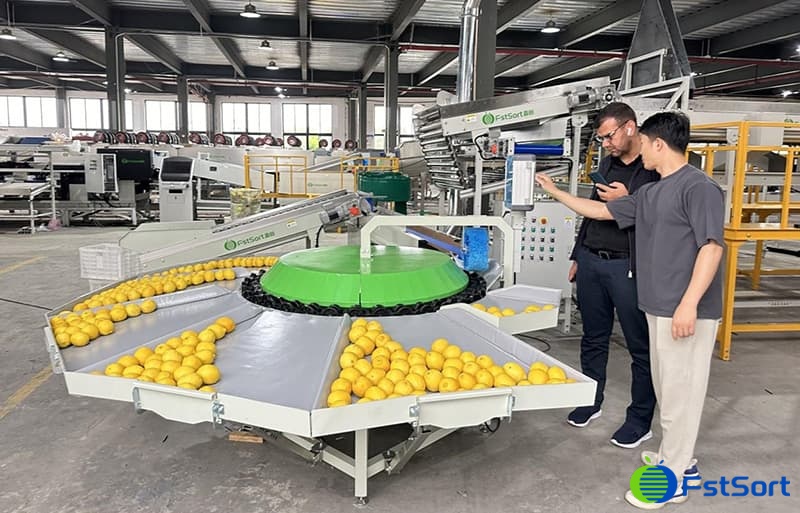 rotary weight sorting machine.jpg rotary weight sorting machine.jpg